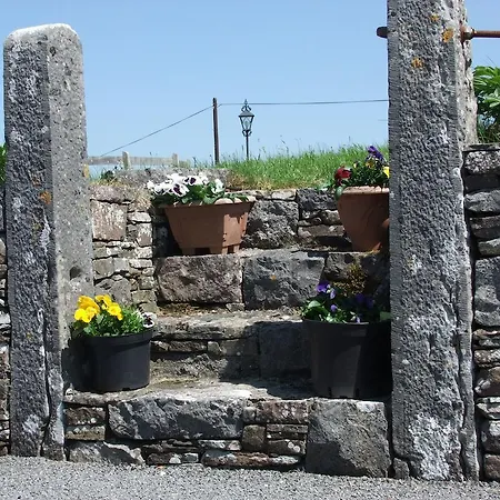 Guest house Inishfree House Cong